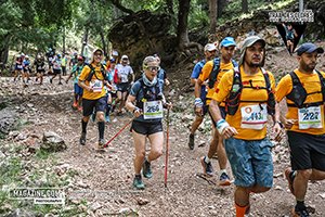 Trail des cèdres 2024